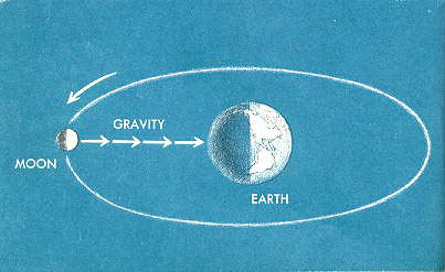 universal gravity